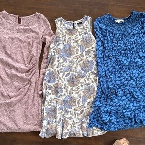 Elegant Women's Lace and Floral Dress Collection